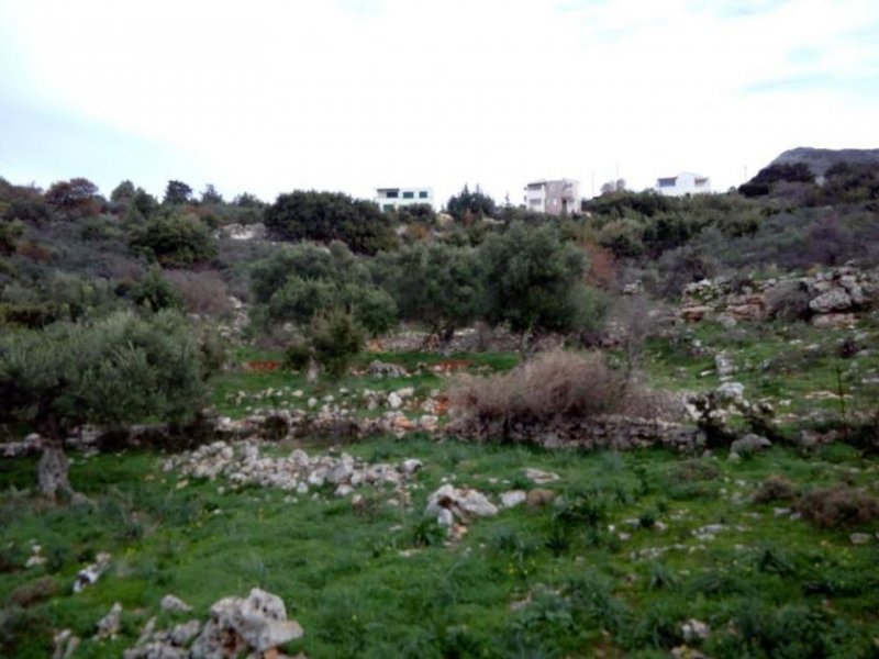 Kampia Chania Kreta, Kampia: Grundstück mit herrlichem Meerblick zu verkaufen Grundstück kaufen